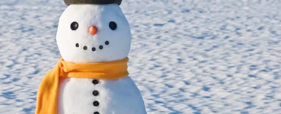 A snowman with a black hat, orange scarf, coal eyes, and mouth, and a carrot nose stands on a snowy field.