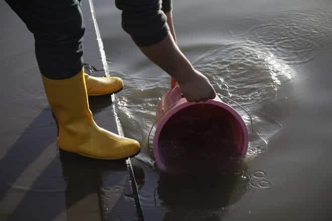 Person in yellow boots collecting water from a pond with a pink bucket.